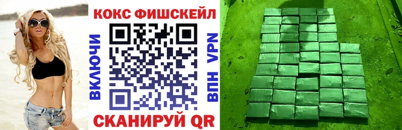 КОКАИН Fish Scale  Купить  Камызяк 