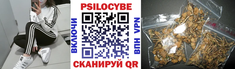 Купить  Камызяк  Псилоцибиновые грибы GOLDEN TEACHER 